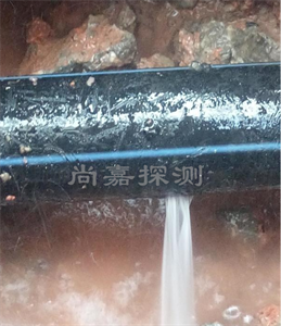 循化消防管道漏点探测