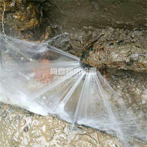 循化自来水管道漏点检测